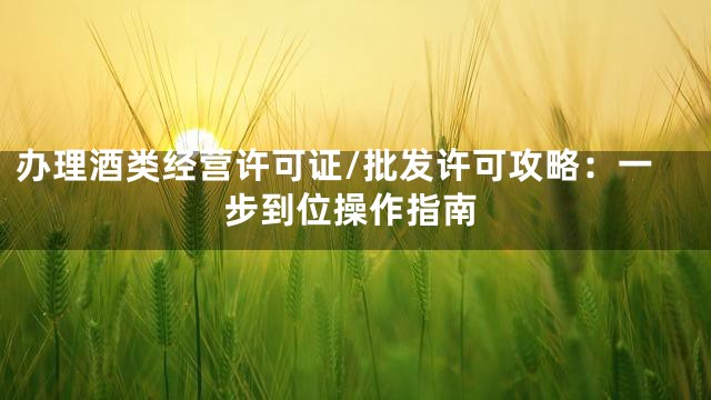 办理酒类经营许可证/批发许可攻略：一步到位操作指南
