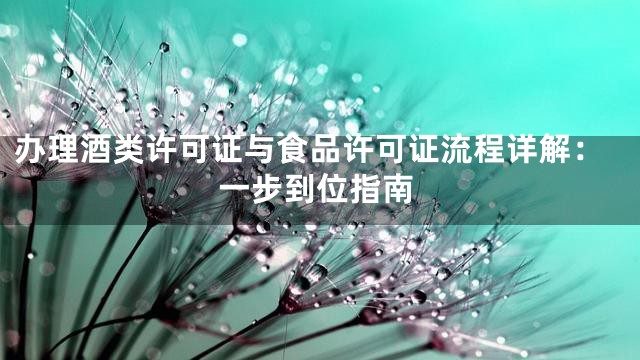 办理酒类许可证与食品许可证流程详解：一步到位指南
