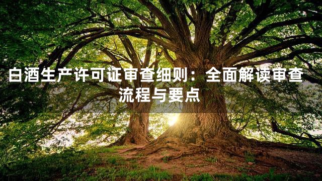 白酒生产许可证审查细则：全面解读审查流程与要点