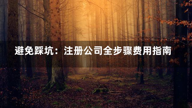 避免踩坑：注册公司全步骤费用指南