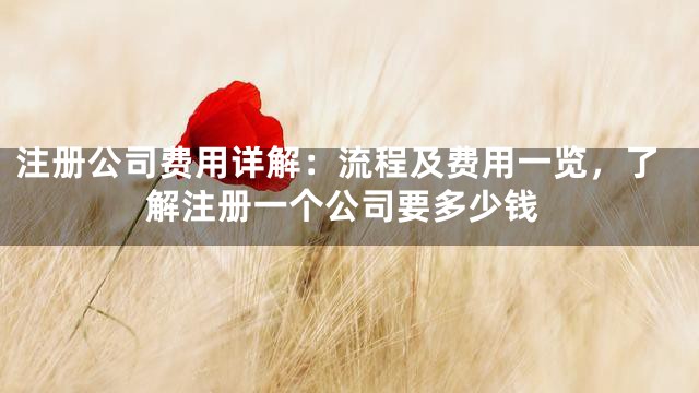 注册公司费用详解：流程及费用一览，了解注册一个公司要多少钱
