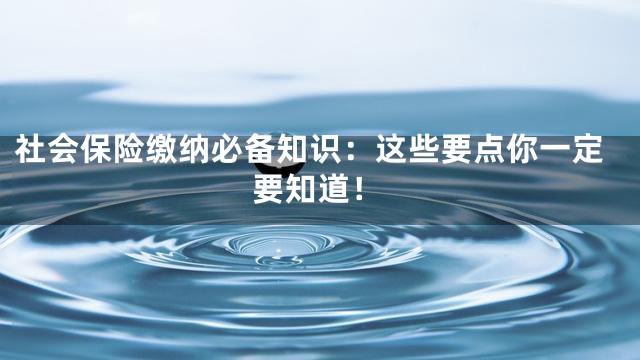 社会保险缴纳必备知识：这些要点你一定要知道！