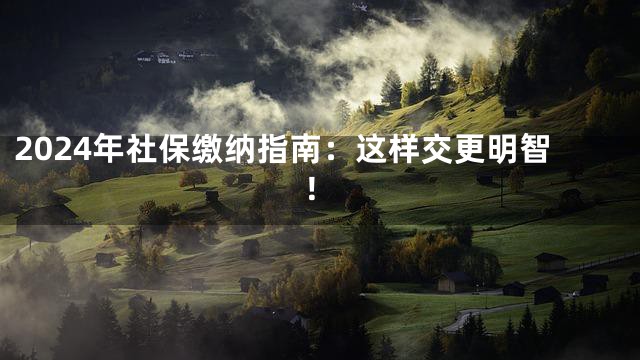 2024年社保缴纳指南：这样交更明智！
