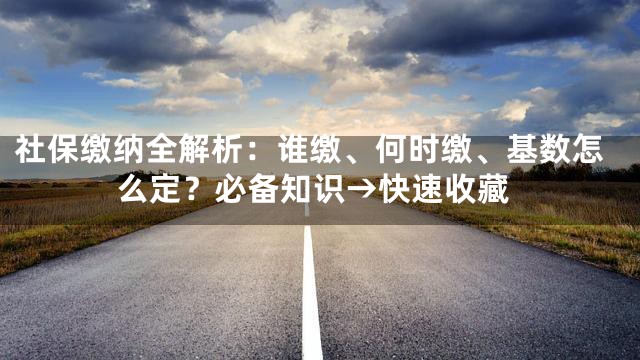 社保缴纳全解析：谁缴、何时缴、基数怎么定？必备知识→快速收藏