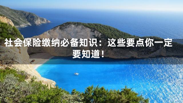 社会保险缴纳必备知识：这些要点你一定要知道！