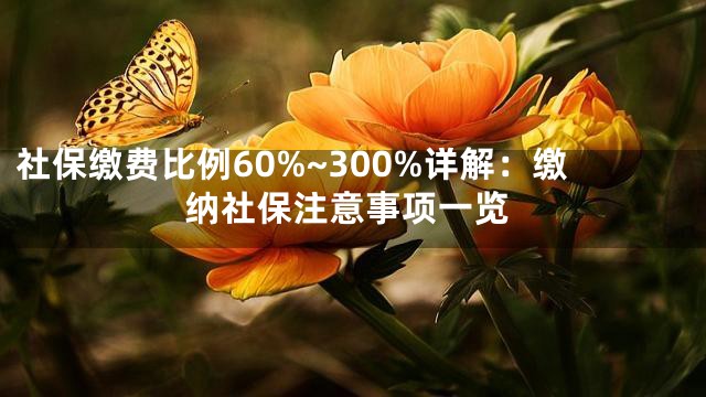 社保缴费比例60%~300%详解：缴纳社保注意事项一览