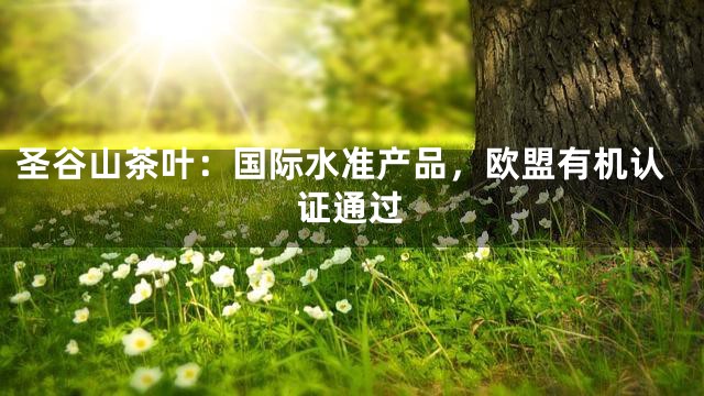 圣谷山茶叶：国际水准产品，欧盟有机认证通过