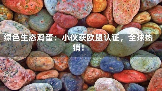 绿色生态鸡蛋：小伙获欧盟认证，全球热销！