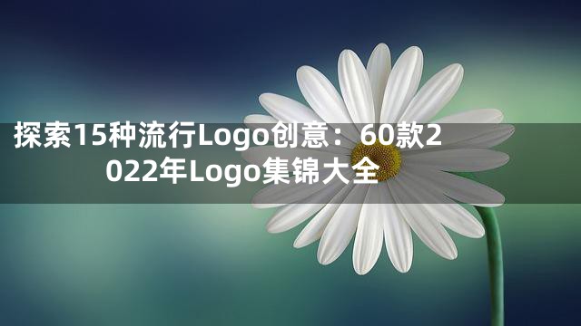 探索15种流行Logo创意：60款2022年Logo集锦大全