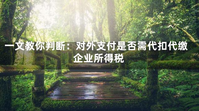 一文教你判断：对外支付是否需代扣代缴企业所得税