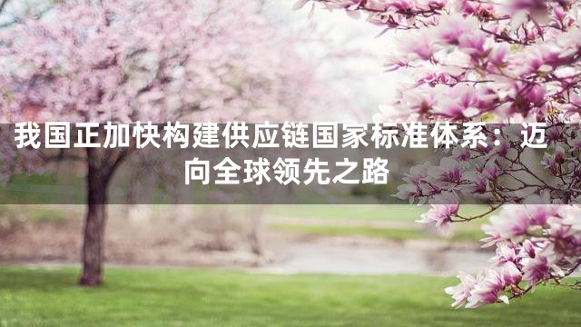 我国正加快构建供应链国家标准体系：迈向全球领先之路