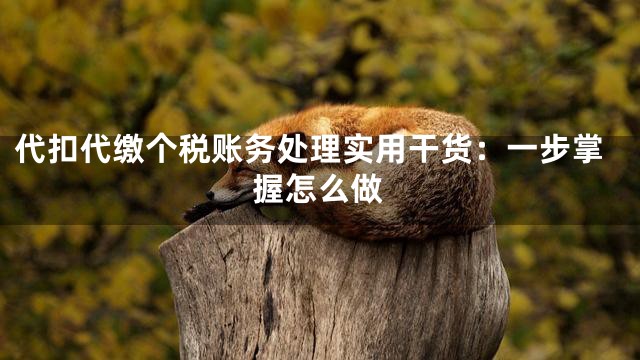 代扣代缴个税账务处理实用干货：一步掌握怎么做