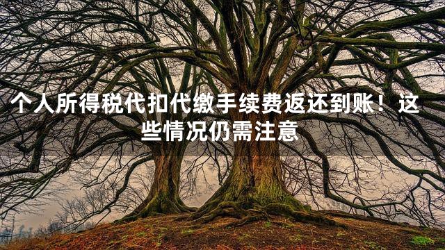 个人所得税代扣代缴手续费返还到账！这些情况仍需注意