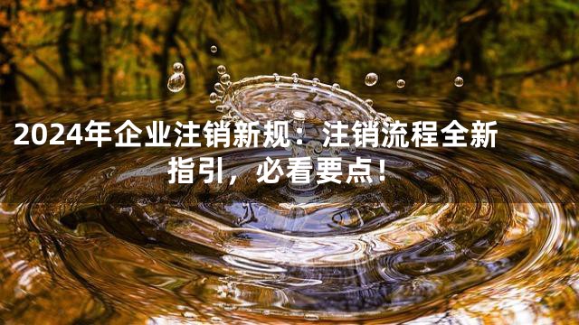 2024年企业注销新规：注销流程全新指引，必看要点！