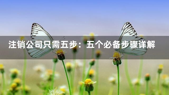 注销公司只需五步：五个必备步骤详解
