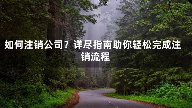如何注销公司？详尽指南助你轻松完成注销流程