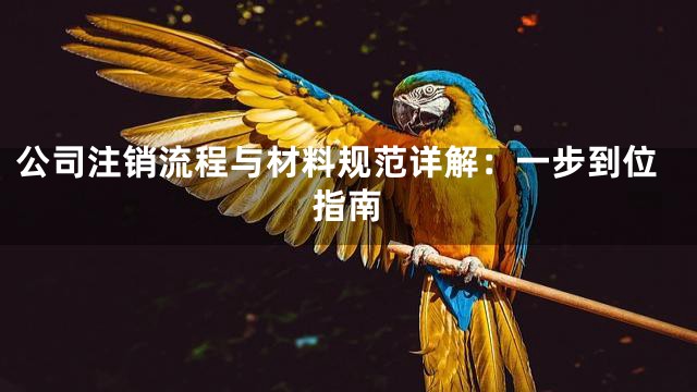 公司注销流程与材料规范详解：一步到位指南