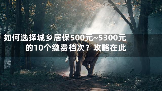 如何选择城乡居保500元~5300元的10个缴费档次？攻略在此