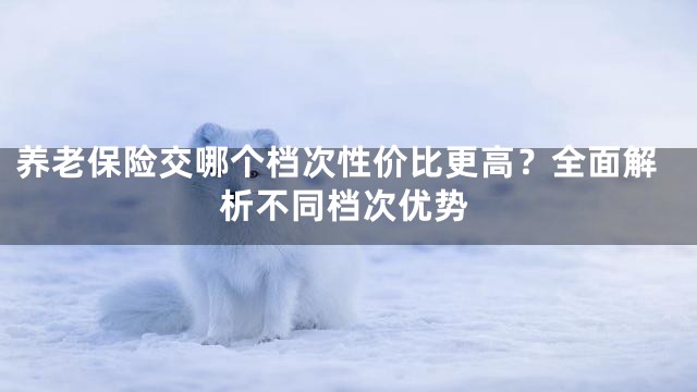 养老保险交哪个档次性价比更高？全面解析不同档次优势