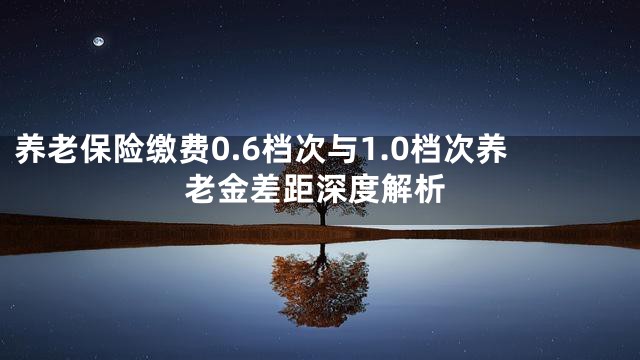 养老保险缴费0.6档次与1.0档次养老金差距深度解析