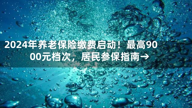 2024年养老保险缴费启动！最高9000元档次，居民参保指南→