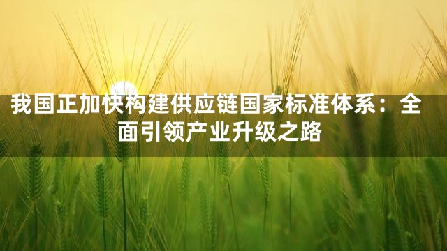 我国正加快构建供应链国家标准体系：全面引领产业升级之路