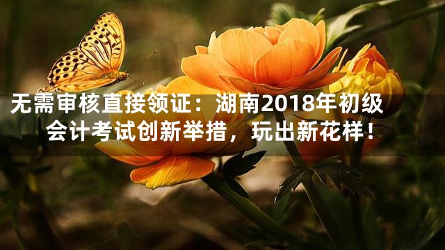 无需审核直接领证：湖南2018年初级会计考试创新举措，玩出新花样！