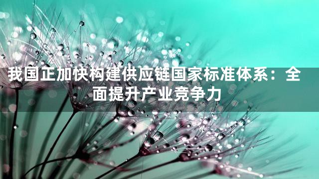 我国正加快构建供应链国家标准体系：全面提升产业竞争力
