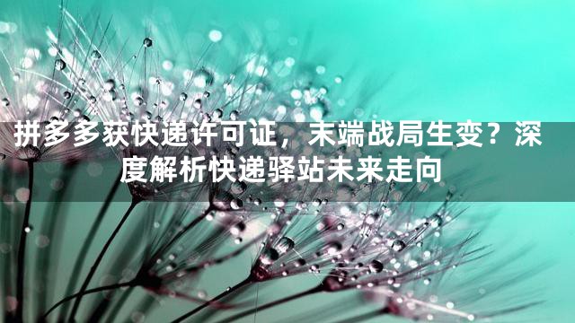 拼多多获快递许可证，末端战局生变？深度解析快递驿站未来走向