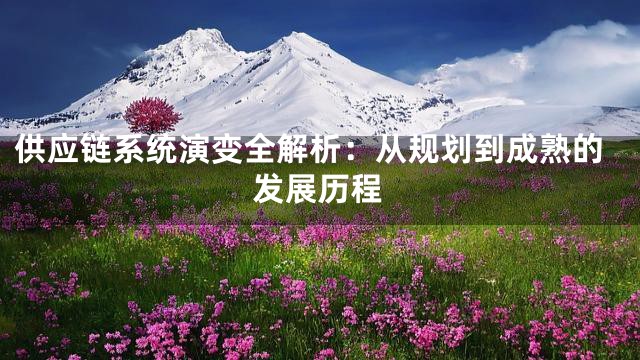 供应链系统演变全解析：从规划到成熟的发展历程