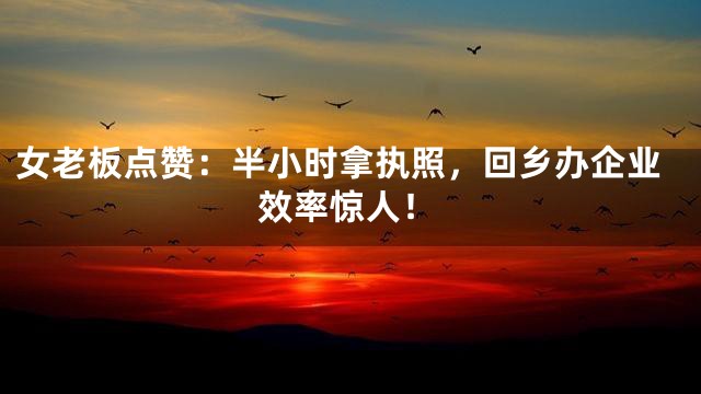 女老板点赞：半小时拿执照，回乡办企业效率惊人！