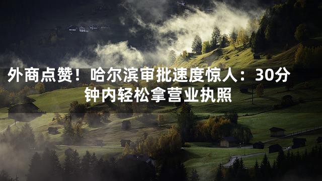 外商点赞！哈尔滨审批速度惊人：30分钟内轻松拿营业执照