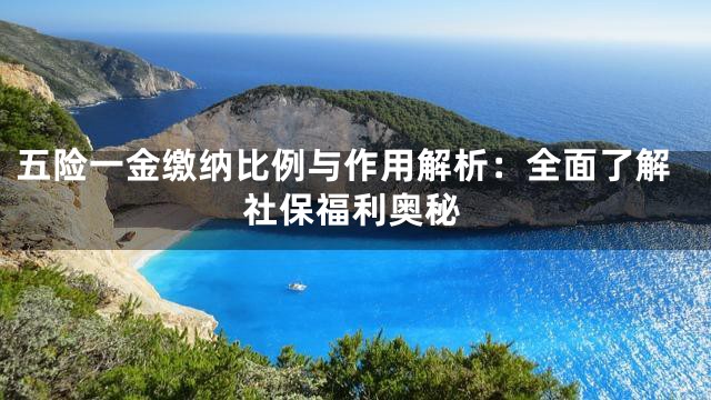 五险一金缴纳比例与作用解析：全面了解社保福利奥秘