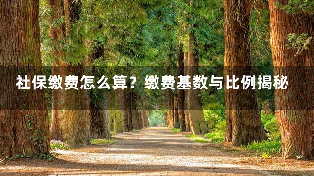 社保缴费怎么算？缴费基数与比例揭秘
