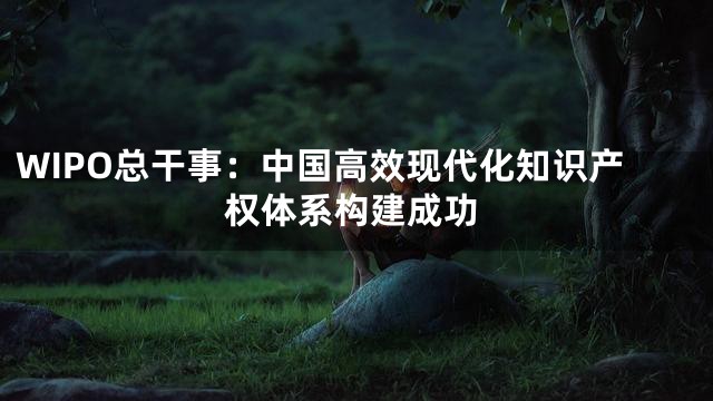 WIPO总干事：中国高效现代化知识产权体系构建成功
