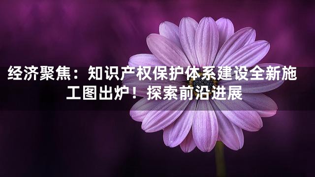 经济聚焦：知识产权保护体系建设全新施工图出炉！探索前沿进展