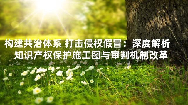 构建共治体系 打击侵权假冒：深度解析知识产权保护施工图与审判机制改革