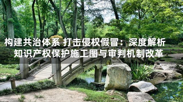 构建共治体系 打击侵权假冒：深度解析知识产权保护施工图与审判机制改革