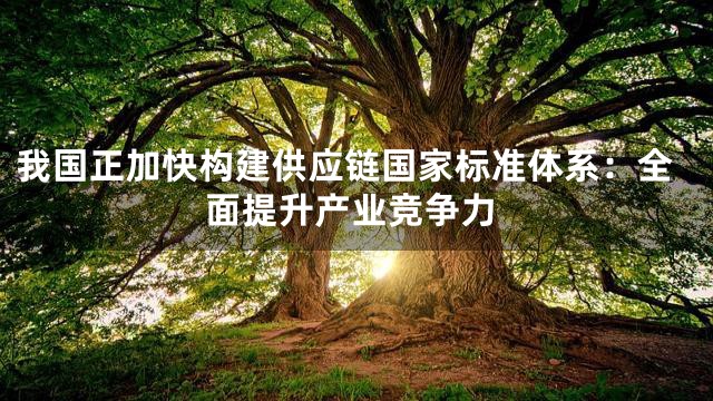 我国正加快构建供应链国家标准体系：全面提升产业竞争力