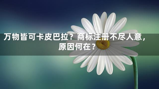 万物皆可卡皮巴拉？商标注册不尽人意，原因何在？