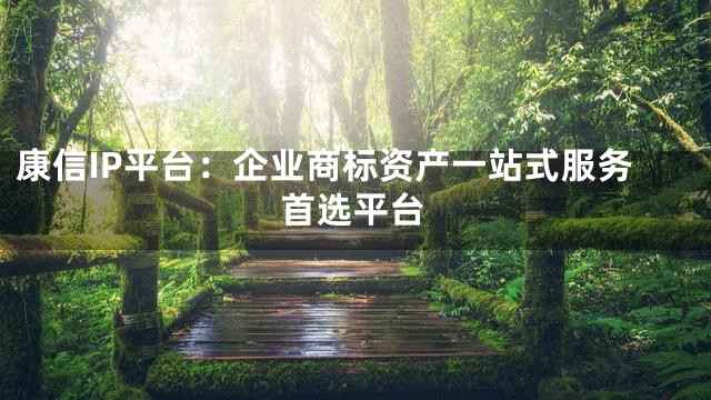 康信IP平台：企业商标资产一站式服务首选平台
