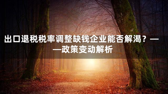 出口退税税率调整缺钱企业能否解渴？——政策变动解析
