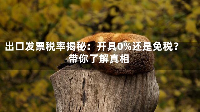 出口发票税率揭秘：开具0%还是免税？带你了解真相