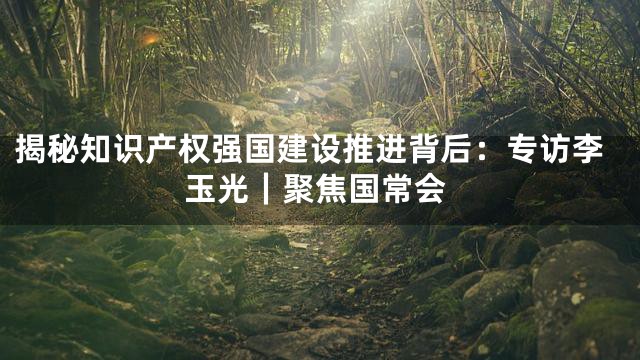 揭秘知识产权强国建设推进背后：专访李玉光｜聚焦国常会