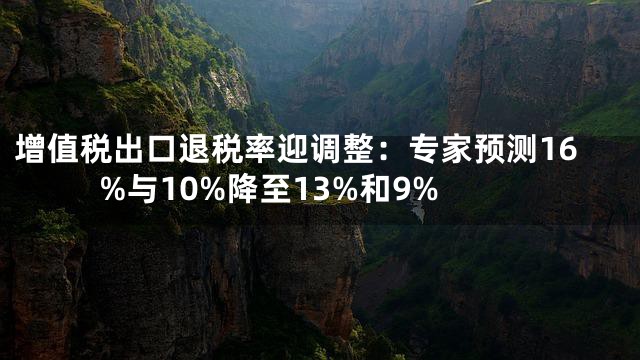 增值税出口退税率迎调整：专家预测16%与10%降至13%和9%