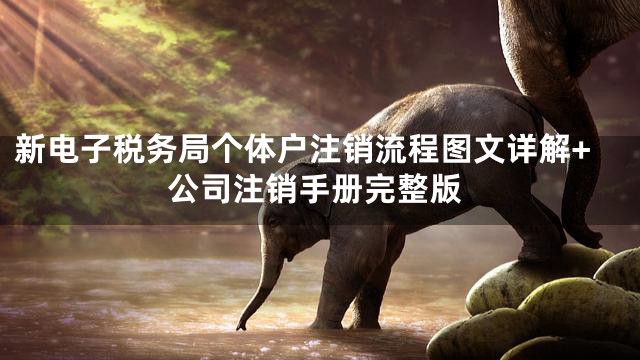 新电子税务局个体户注销流程图文详解+公司注销手册完整版
