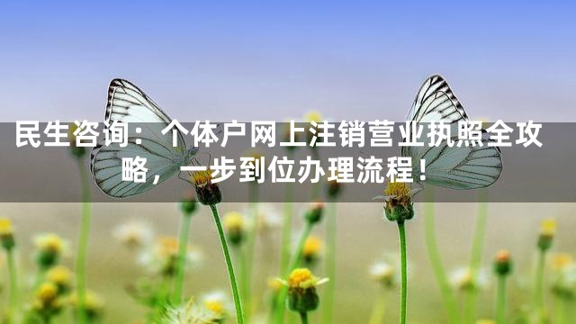 民生咨询：个体户网上注销营业执照全攻略，一步到位办理流程！
