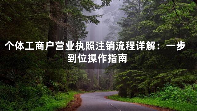 个体工商户营业执照注销流程详解：一步到位操作指南