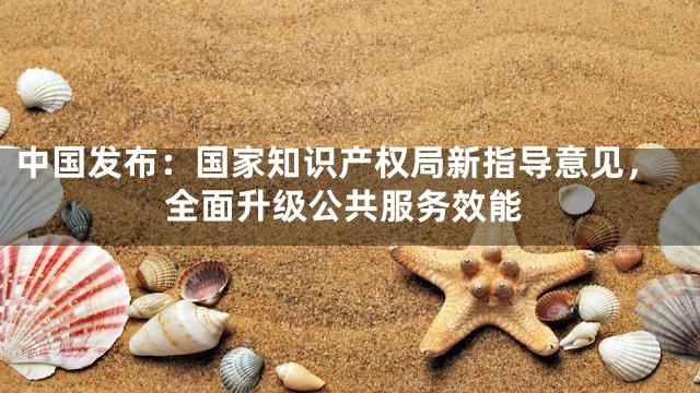 中国发布：国家知识产权局新指导意见，全面升级公共服务效能