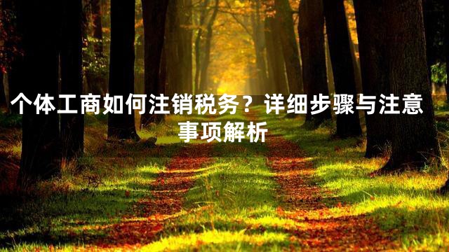 个体工商如何注销税务？详细步骤与注意事项解析